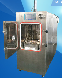 LGJ-18 multi manifold top press trype freeze dryer