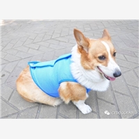 pet ice coat the final offerPet cold suit,Cool clothes