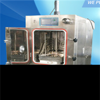 LGJ-12S Series Vacuum Freeze Dryer