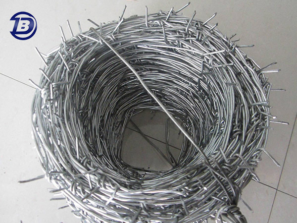 Cheap Price Galvanized Barbed Wire