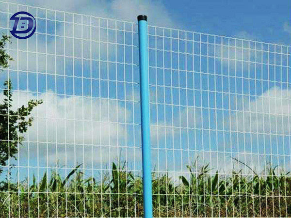 New Bestselling High Quality Euro Fences
