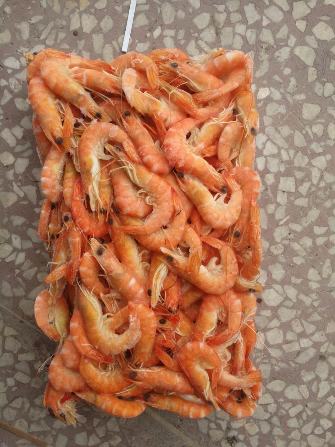 FROZEN BOILED VANNAMEI SHRIMP