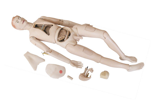 GOOD QUALITY MEDICAL TEACHING DOLL SUPPLIES  FOR NURSES AND DOCTORS