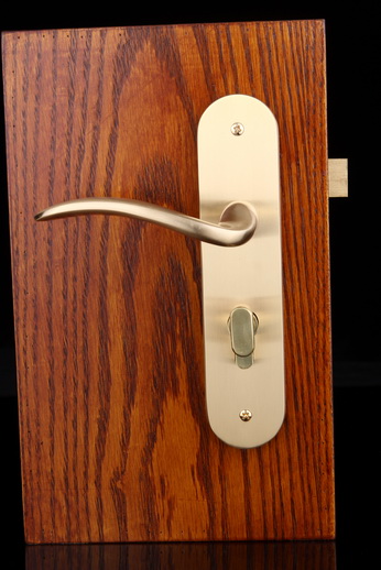 Solid brass mortise door handle