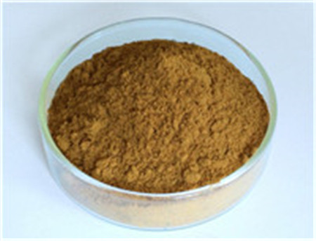 Ginkgo Biloba Extract,Ginkgo Biloba Extract Supplier