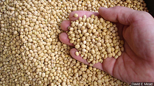 BUY SESAME SEEDS,SOYBEANS SEEDS,CASHEW NUTS,SUNFLOWER OIL 