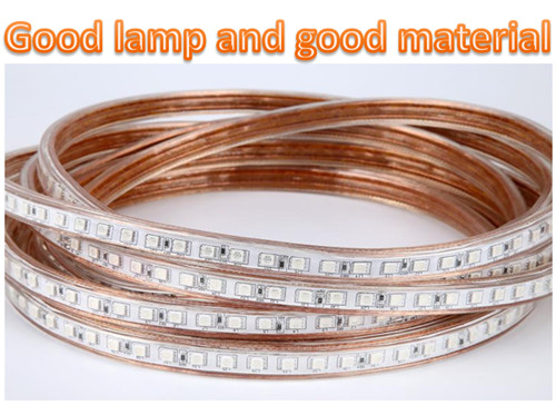 high quality hot selling RGB indoor and outdoor 220V colorful color light strip wholesale 