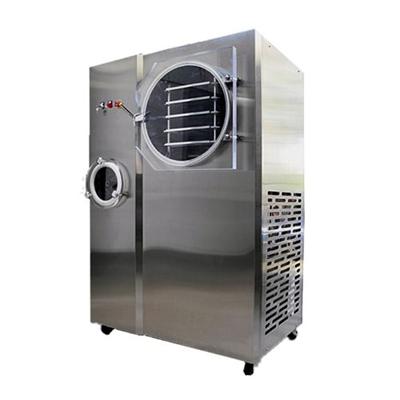 Mini Vacuum Freeze Dryer