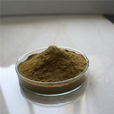 Ivy Leaf Extract
