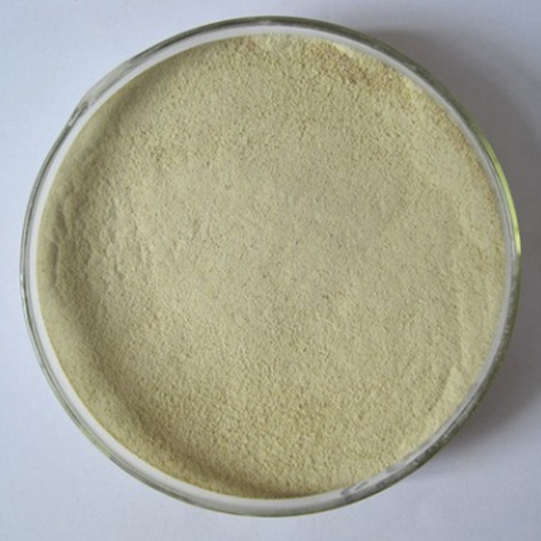 Acid Cellulase Enzyme (Powder)
