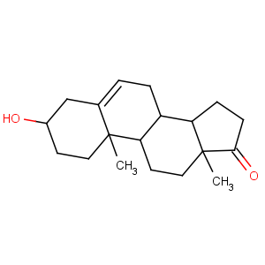 dehydroepiandrosterone