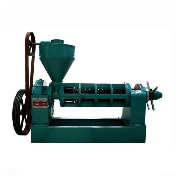Castor Oil Press Machine
