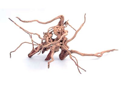 Chinese supplier cheap hot selling Rhododendron root manufacture