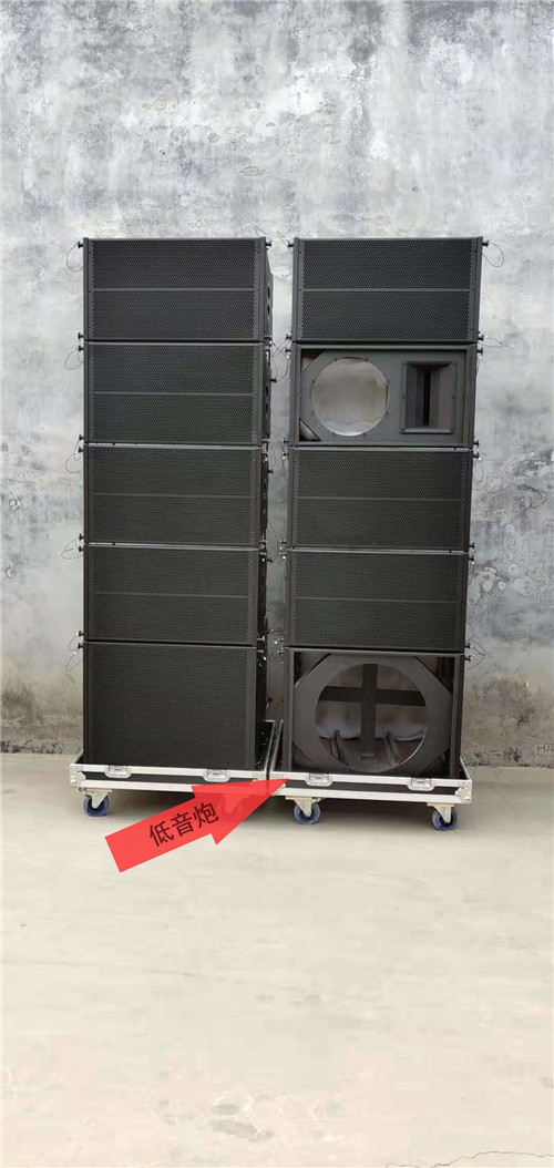Factory direct good price Single 12 inch line array speaker cabinet