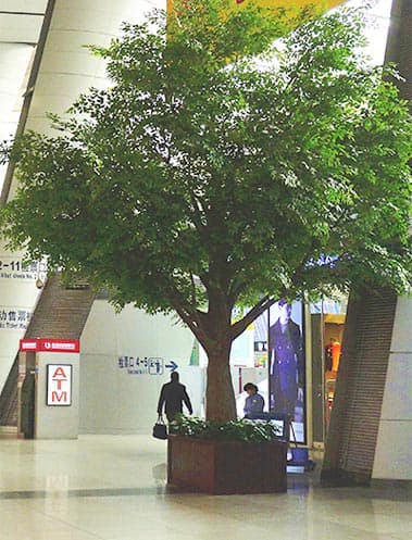 Artificial Bayan Ficus Tree