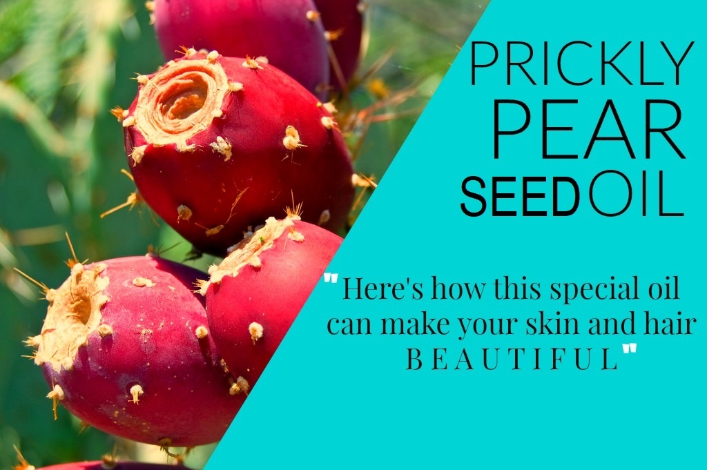 prickly pear seed oil anti aging