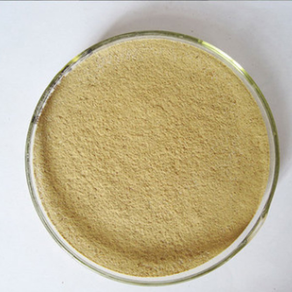 High Temperature Resistant Phytase