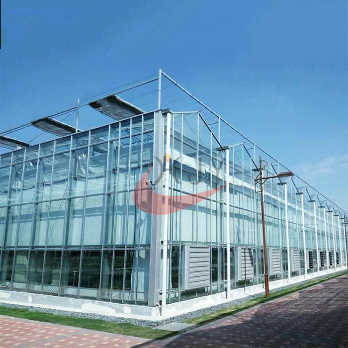 Commercial Agricultural Glass Greenhouse for Flower and Vegetables  Glass Greenhouse  Vegetables Greenhouse manufacturer