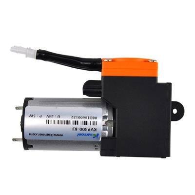 High Cost Peformance Brush Air Pump