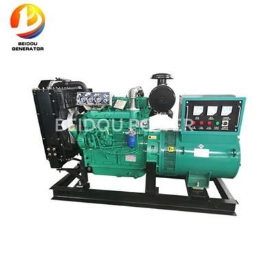 Ricardo Diesel Generator