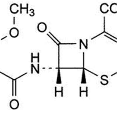 Cefotaxime Sodium CAS 64485-93-4