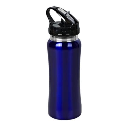 500ml Stainless Steel Water Bottle