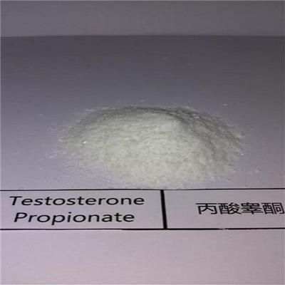 Testosterone Propionate Powder Cas 57-85-2