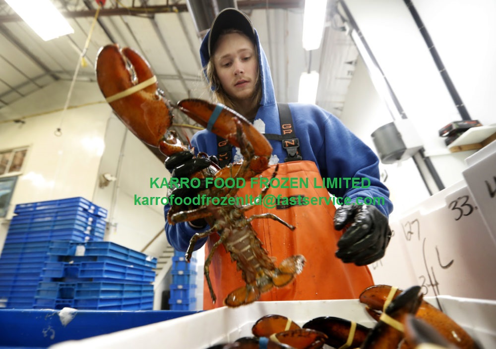 Buy Lobsters Online All Year Round