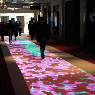 Interactive Projection Software