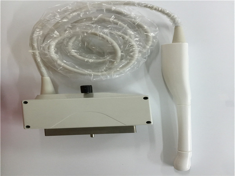 Biosound Esaote EC123 Micro-Convex Array Ultrasound Transducer