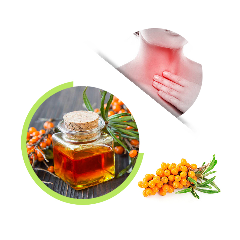 Hot sale! supply nature 100% Seabuckthorn seed oil, ,Hippophae rhamnoides.L 
