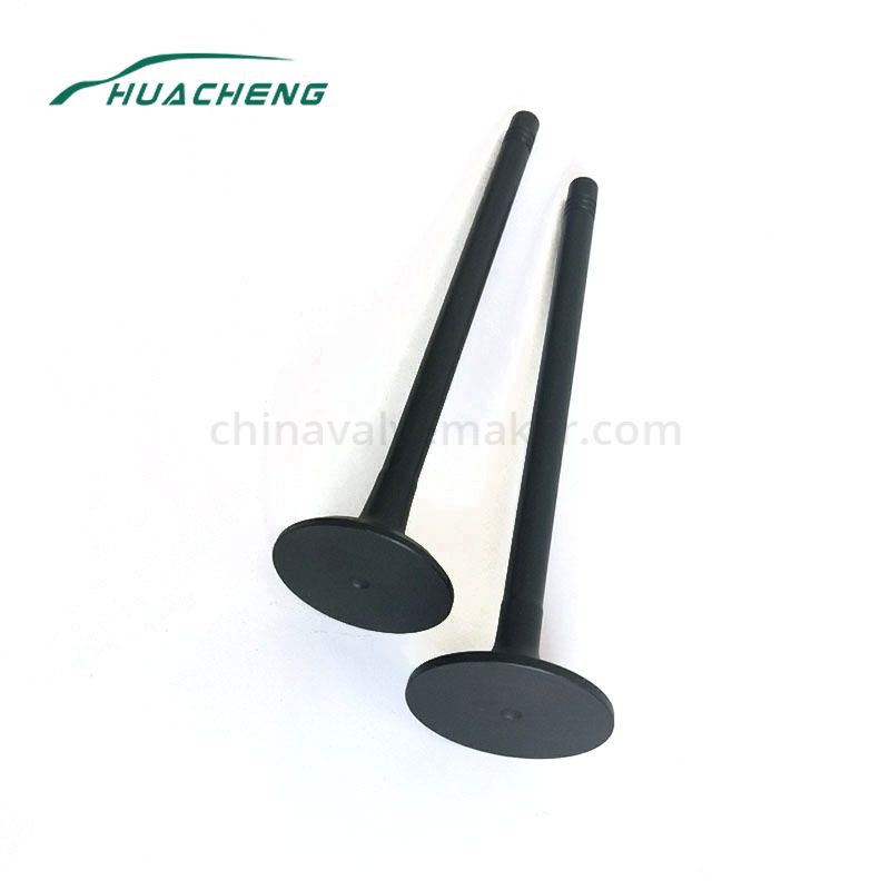 Truck parts engine valve for HOWO ZQD12