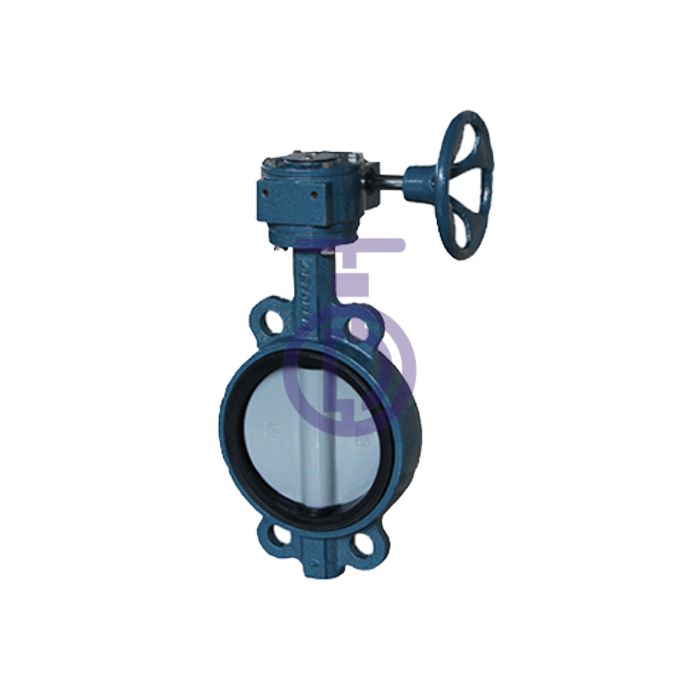 Ductile Iron  butterfly Valve with Painting CBF02-TA07