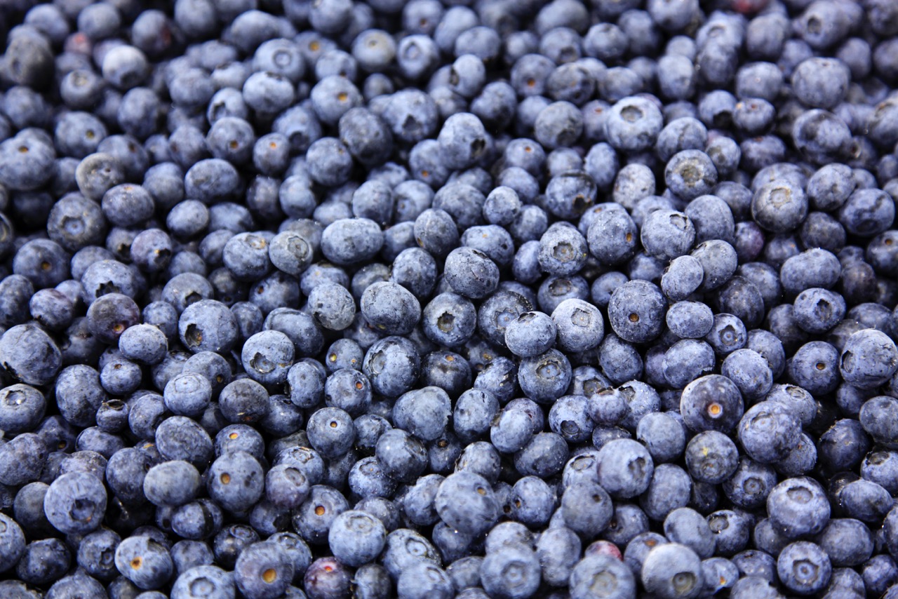 frozen blueberry