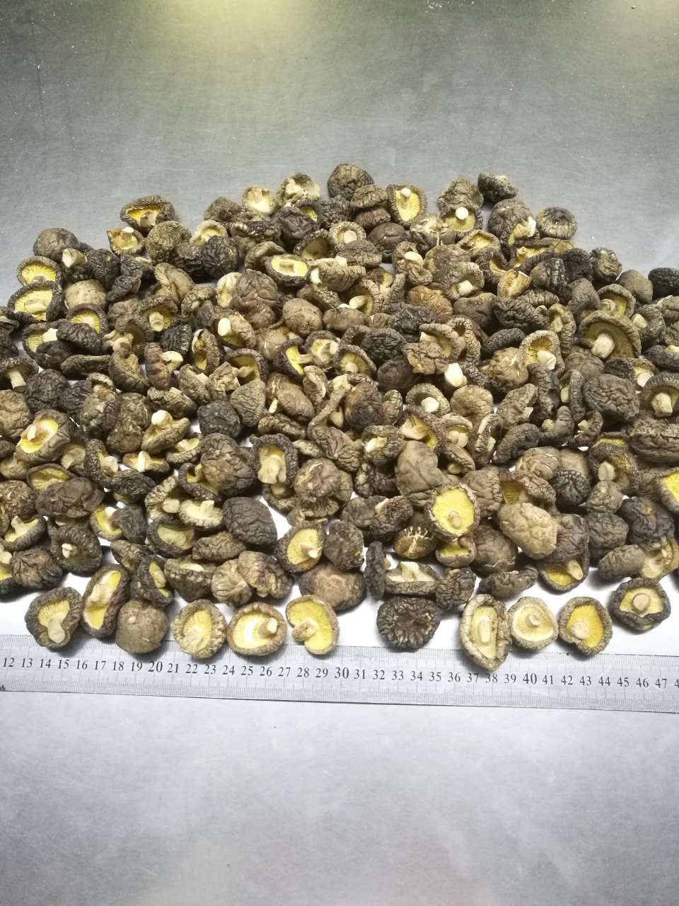 Сушеные грибы шиитаке 2-3см
