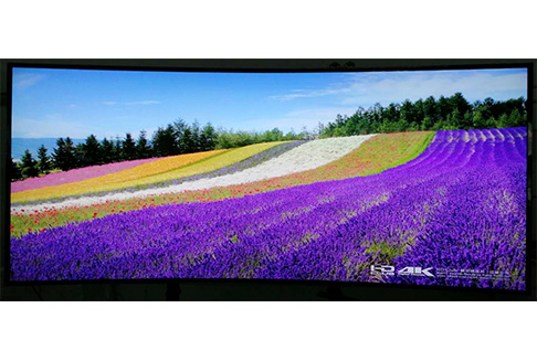 Specification of 105 Inch Curved TV  Smart Curved OLED TVS  4k Curved OLED TVS Supplier
