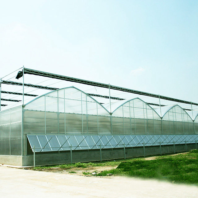 Polycarbonate greenhouse roofing sheets