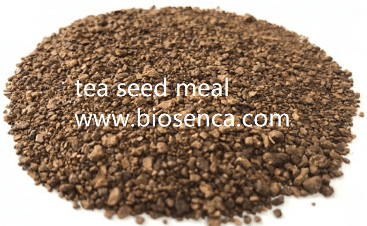 tea seed meal