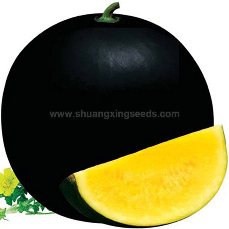 Black girl 2 Chinese yellow flesh watermelon seeds for planting