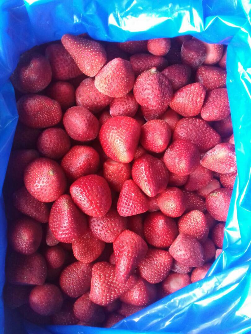 埃及冰冻的草莓