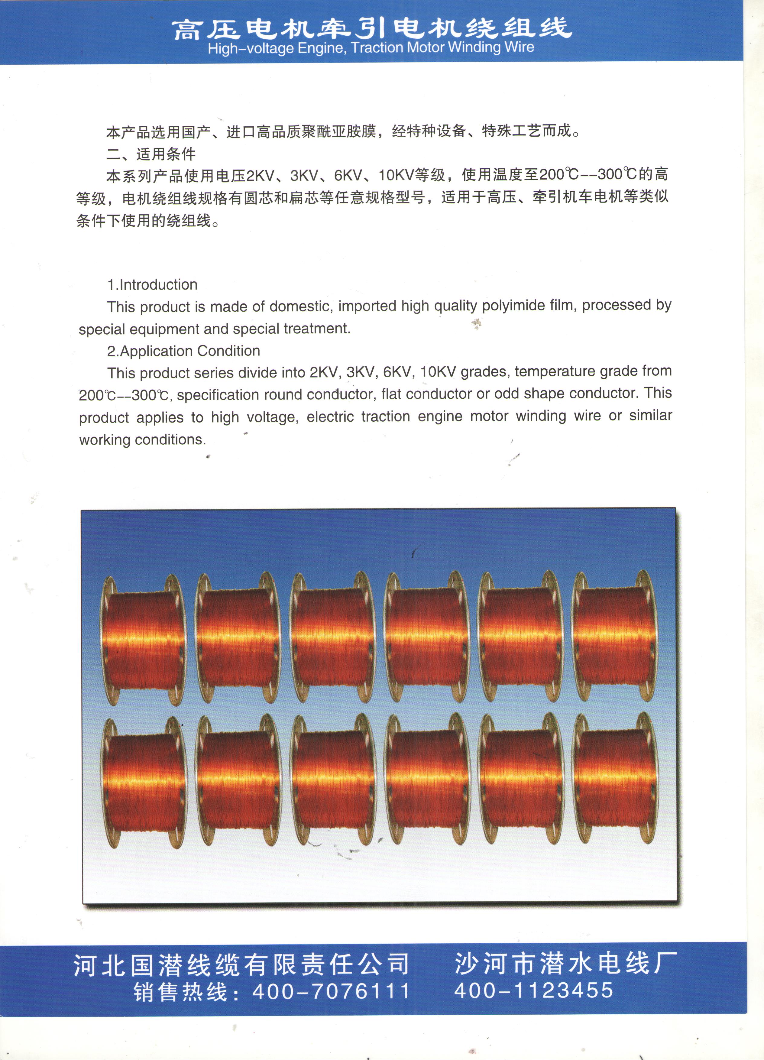 submersible winding wire