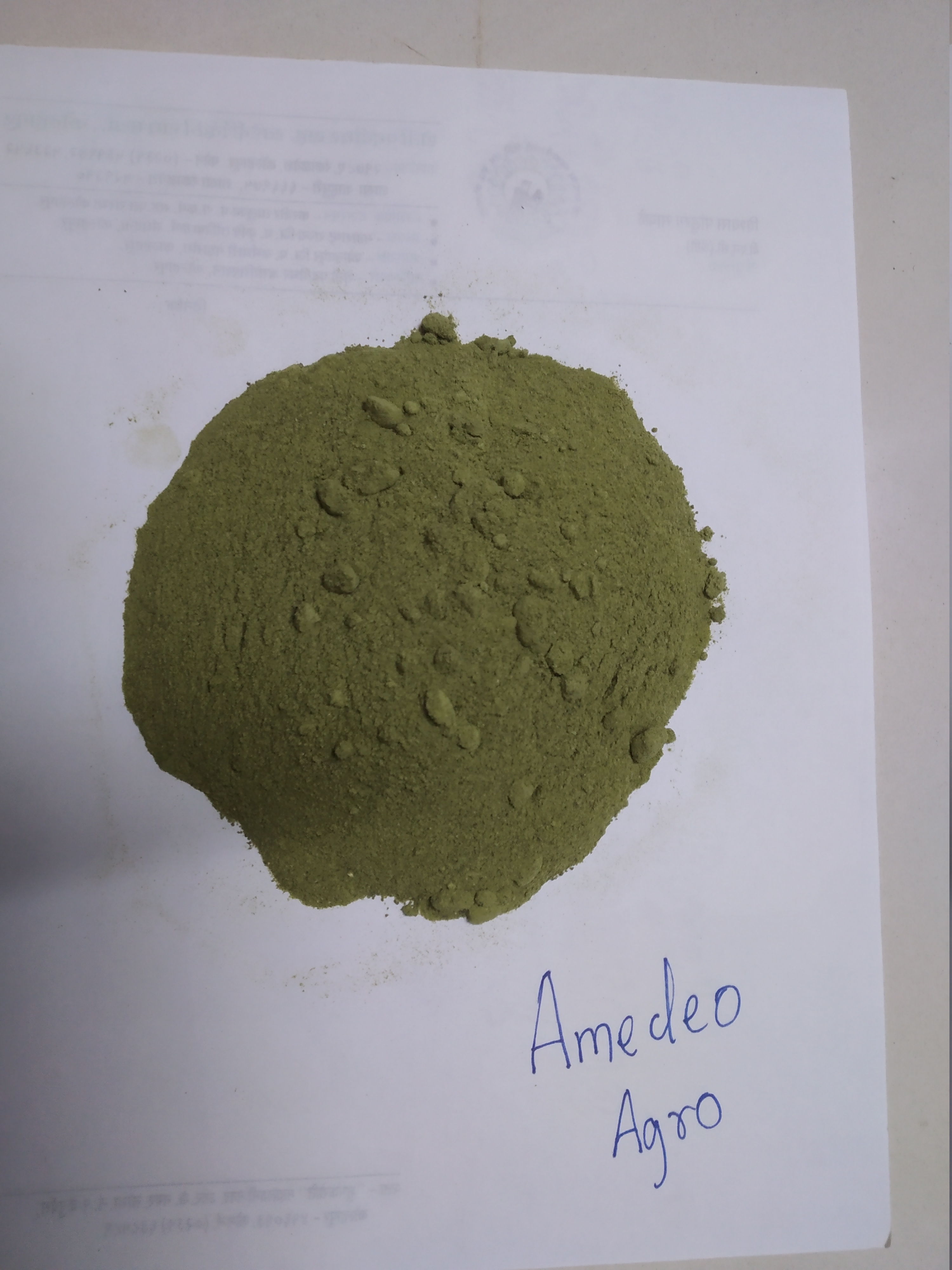 Green Capsicum Powder