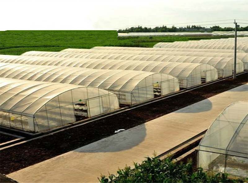  green house protect,PE greenhouse agriculture film