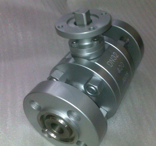 SS Forged Steel Floating Ball Valve