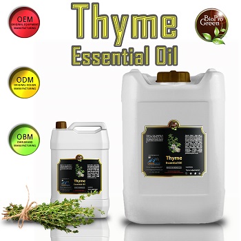 Thyme herbs 