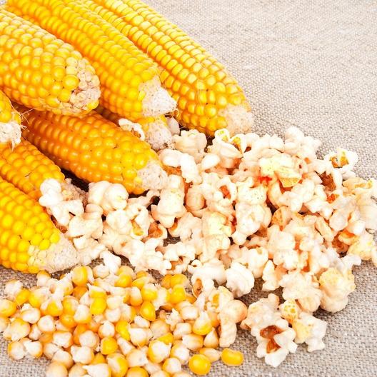  available yellow corn 