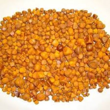 ox/cow gallstones  available 
