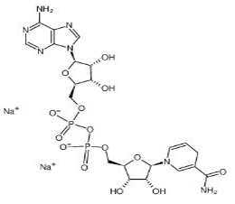  beta-Nicotinamide adenine dinucleotide disodium salt 