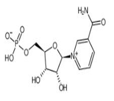 Nicotinamide Mononucleotide