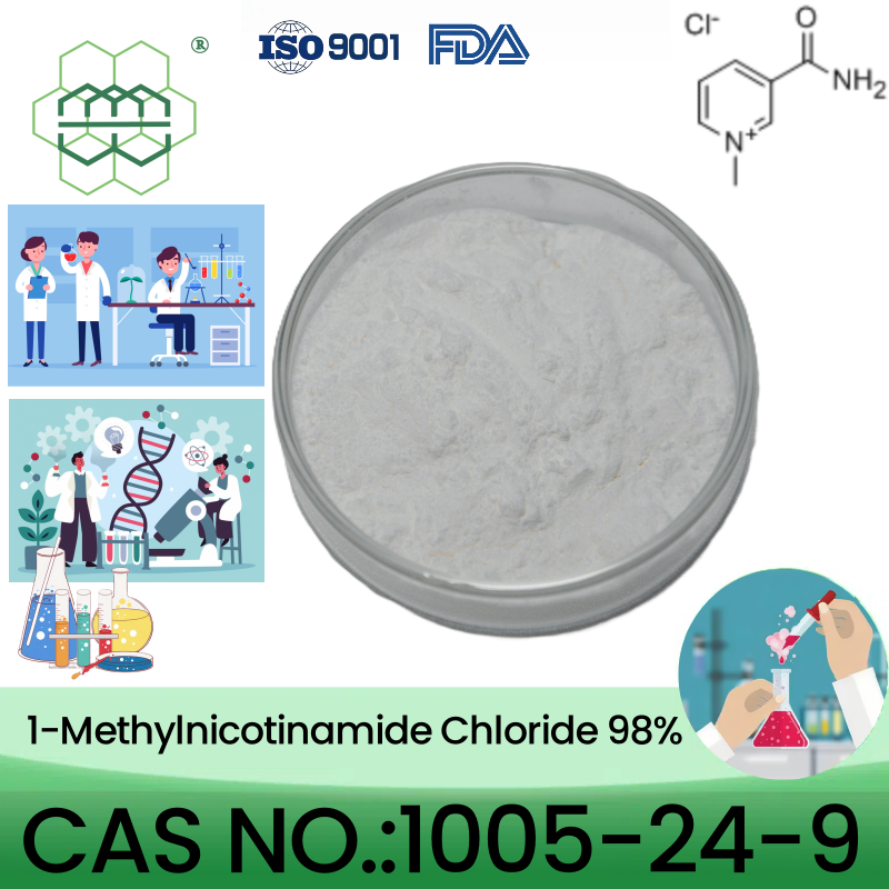 1-Methylnicotinamide chloride